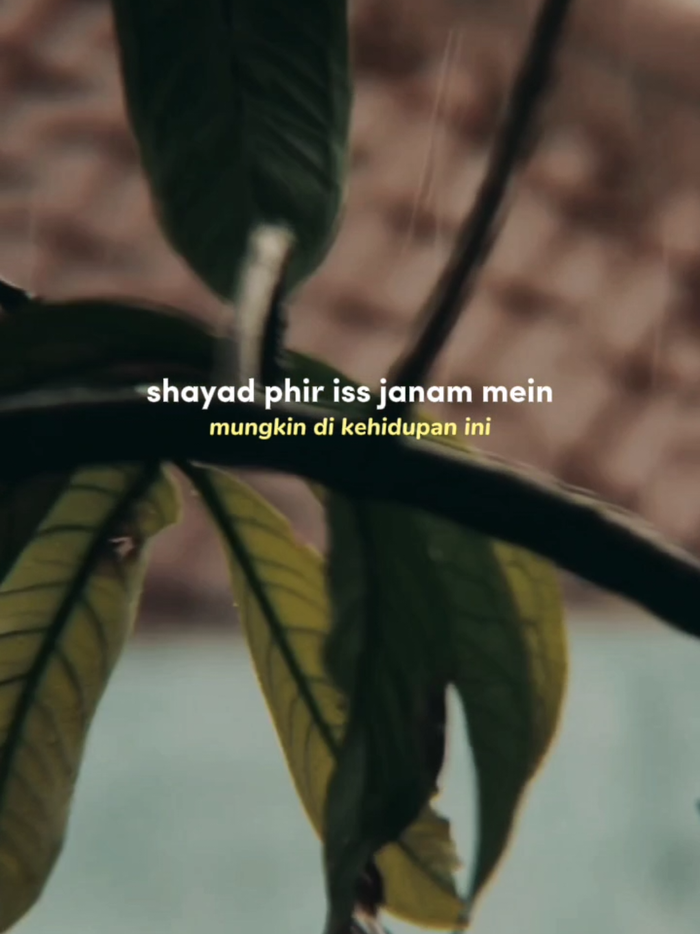 hujan + india song = syahdu 🌧 #lagjagale #india #bollywood #fyp 