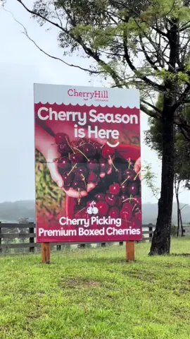 #cherrypicking 