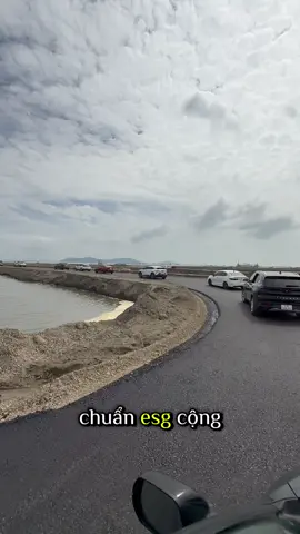 Đã lấn biển hơn 3km - lên nhựa Khu B của dự án Vinhomes Green Paradise Cần Giờ🚀#VinhomesCầnGiờ #vinhomescangio #dothilanbien #cangio #giabanvinhomescangio 