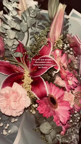 Más si son tus flores favoritas 😭💗#flores #gerveras #lirios #loveyou 