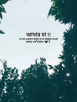 আমার মা !! সে তো একজন মানুষ না,সে আল্লার দেওয়া আমার এক জান্নাত.!🖤🌷#foryou #foryoupage #bdtiktokofficial🇧🇩 #fyp @TikTok @tiktok creators @TikTok Bangladesh 