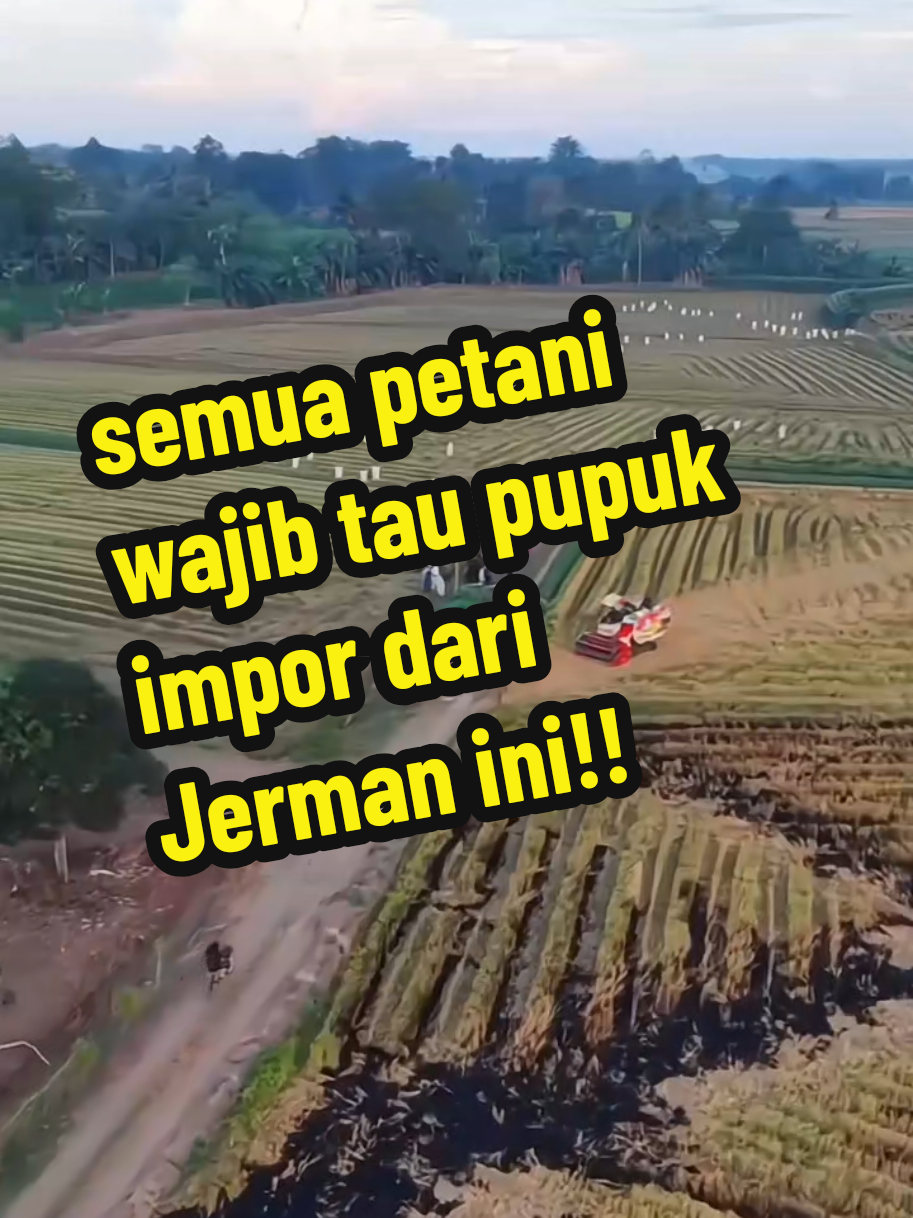 pupuk highscore asam amino Biar tanaman makin subur dan panen makin banyak Saatnya upgrade nutrisi tanaman dengan pupuk impor dari Jerman ini  #pupukasamamino  #TanamanSubur  #PetaniMilenial  #highscoreasamamino  #FYPtiktok 