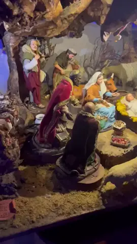 hân hoan  Chào  đón  mùa  vọng 1 mùa  giáng sinh  tràn đầy yêu thương @Chị Giáo Lý Viên❤️‍🔥 @Nọc điêu🎀 @Nguyễn Trường Sơn @Quỳnh @Van Sy Tran Du Học @Văn Thực Jos @U V @PET DO CHAU THANH @Hoàng Thị Hồng Thắm @Nhung Cọtt ❤️ @🍀Hà Vy 2812 NS🍀 @𝑲𝒉𝒂́𝒏𝒉𝒉 𝑯𝒖𝒚𝒆̂̀𝒏𝒏💋 #giangsinh #noen #congiao #xuhuongtiktok #huynhtruonggiesu 