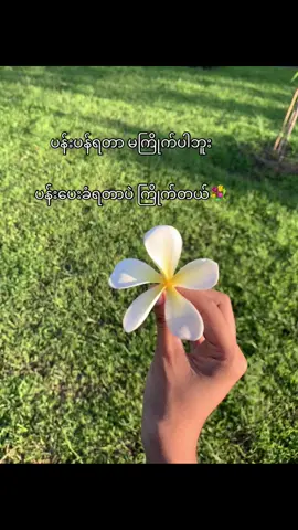 ပန်းပေးတာပဲခံချင်တယ်လေနော်💐🤓#foryou 