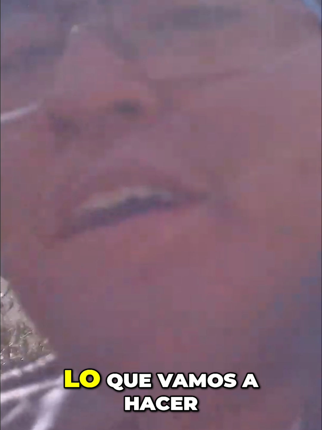 Precios en Bolivia_ ¿Bajaron Tras Las Elecciones_