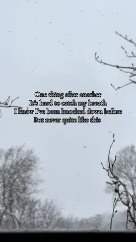 1 of 6 nature videos I posted, which one found you?  #originalsong #songwriter #singersongwriter #indiepopmusic #melancholic 
