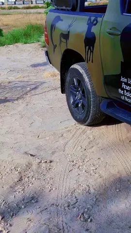 Rescuing a porcupine..  #savewildlife #wildjatoi #foryoupagе #naeemjatoi #wildliferescue 