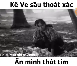 #xuhuong #lichsuvietnam #lichsu #hochiminhmuonnam🇻🇳🇻🇳🇻🇳 #hhhhhhhhhhhhhhh #hochiminhcity #hochiminhcity #bodoivietnam❤ #bietdongsaigon #hochiminhmuonnam🇻🇳 #nguoiviet #bodoicuho #nguoicongsan 