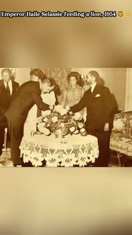 1954 — Haile Selassie and the royal lion 🦁#fyp #Tizita #EthiopiaHistory #ethiopian_tik_tok🇪🇹🇪🇹🇪🇹🇪🇹ሀገሬ 