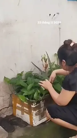 #kỷ niệm xưa chào RỒI...