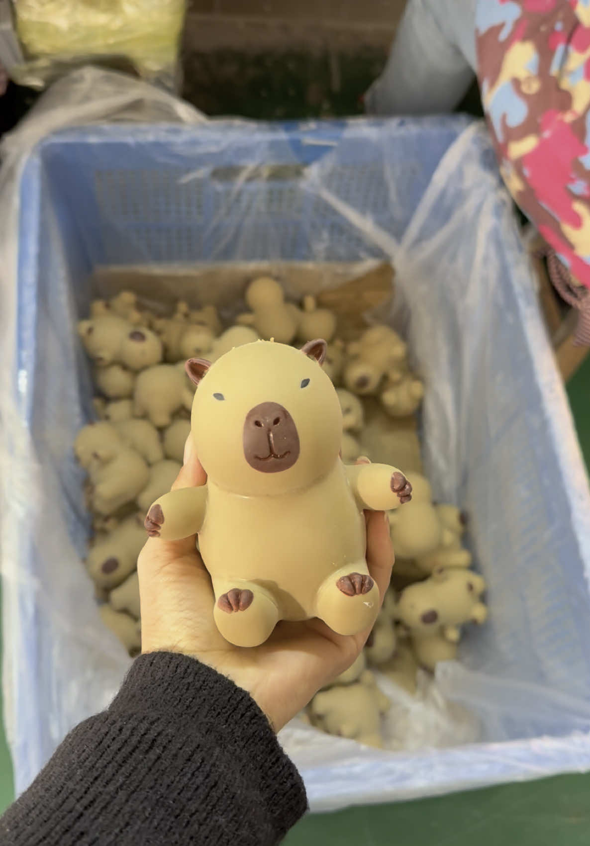 The capybara is getting a shot in its bum!💉#capybara #squishy #cute #fidgettoys 