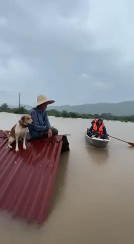 Đừng lũ lụt nữa, người dân khổ lắm rồi 😭 #bão #lũlutmientrung #nhatrang 