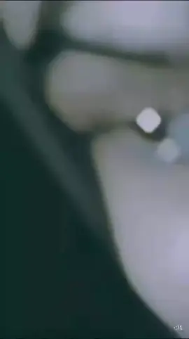 #في هذا اليوم 