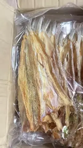 ปลาช่อนทะเลแห้ง #ปลาช่อนทะเลแห้ง 