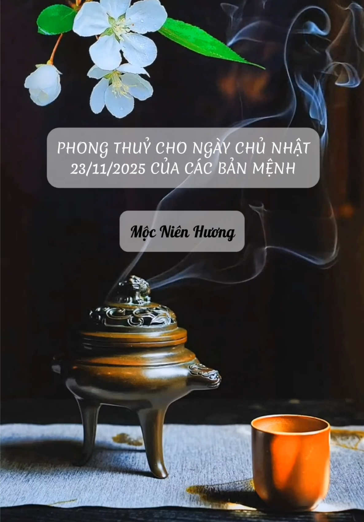 PHONG THUỶ CHO CÁC MỆNH VÀO NGÀY HÔM NAY - CHỦ NHẬT ( 23/11/2025) #nangluongtichcuc #mộcniênhương #anyenmoingay #PhậtPháp #phongthuy 