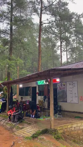 Kenapa harus wilis jurang senggani  ?? alam yang akan berbicara 🥰🍃 #amazingwilis #jurangsengganitulungagung join admin @apinnn133 