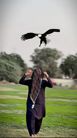 Ba_Sok_Badmashan__!!🦅❤️ #trending #dontunderreviewmyvideo #1millionaudition #1million #viral 