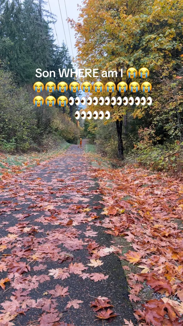 #wabisabi #viral #fyp #xyzbca #tungtungsahur 