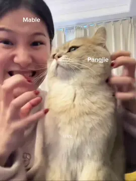 Mommy Steve:@davikahchannel  @mable_siriwalee @ปอจอชอบกินเคบับ #mable_siriwalee #pangjie #blejie #fyp #Clairebell 