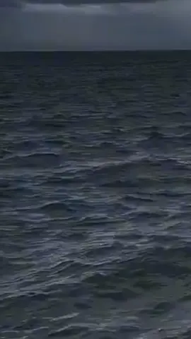 ghép đôi tập 423 #kenhaugamingtv #shopkenny 