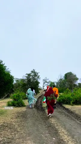 Imisa jeer ayaad ku Dalxistey buurta DaaLo 🏔️ #dallo #cerigaabo #foryou #fyppppppppppppppppppppppp 