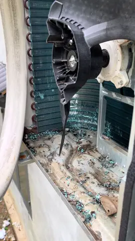 1 cái máy lạnh anh chia ra làm 2 phần :))) #xuhuong #xuhuongthinhhanh #dienlanhtrungluong 