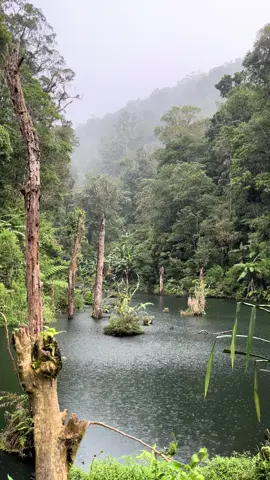 Aku menemukan kebahagiaan yang tidak mereka temukan di sana #lembahtengkorak #aesthetic #pendakigunung #fypシ゚ #Bandung 