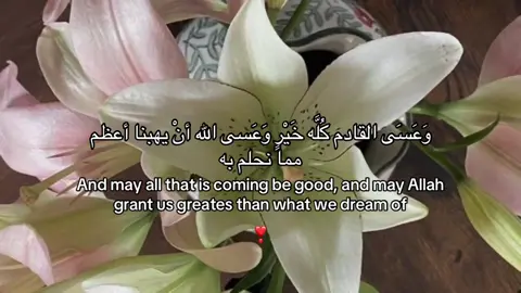 #أجر_لي_ولكم  #صدقه_جاريه_لجميع_اموات_المسلمين  #إغفر_لي_ولأهلي_وأحبتي  #يارب_ادخلني_جناتك_النعيم_بدون_حساب  #explore 