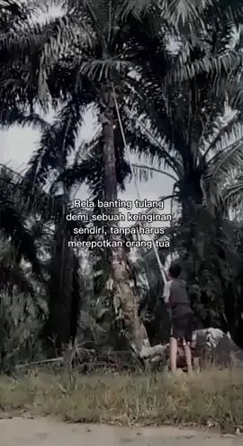 ☹️☹️ #fypシ゚ #kulisawit #petanisawit  #bantingtulang 