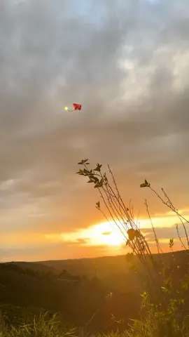 _ Cuộc sống mỗi người biết đủ thì mọi  thứ sẽ trở nên bình yên lạ thường … #binhyen #fyp #hoanghon #xh 