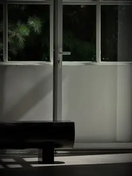 Tham phú phụ hồ #xh #nguytoan #ntt201_ #nhachaymoingay 