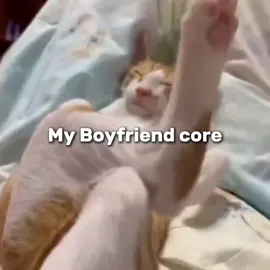 #Cats #cat #myboyfriend #Love #fyp #foryou 