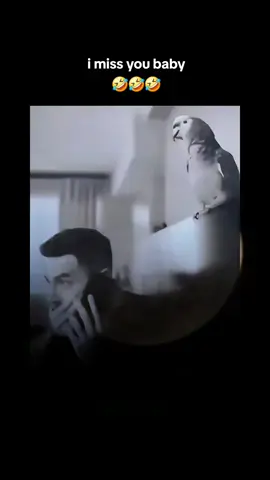 hati-hati main 🔥 bro 🤣 . . #jokesbapackbapack #candasayang #videolucu #fyppppppppppppppppppppppp 