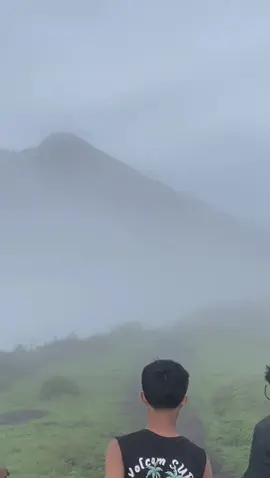 fomo #promomakangajian #bukitgedong2200mdpl #pendakigunung 