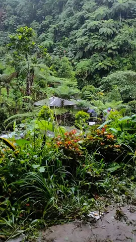 Emang beda banget suasana di Alam ketika berkabut, syahdu bener 😍🌧️🥶🌊🍃🍃 #kabutsyahdu #curugsawercidahumanglid #curugviral #fyp  #foryou 