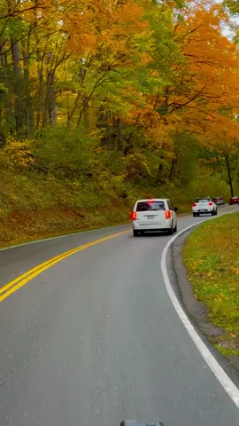 #gatlinburgtennessee #greatsmokymountains #roadtrip #fallcolors 