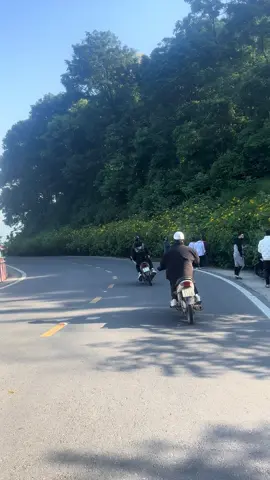 23/11 lết 3 tiếng mới xuống đc ạ🥹 #vuonquocgiabavi #bavi #xuhuong #sanmaybavi #xh