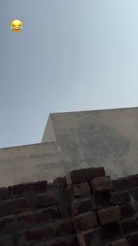 😂😂😂#viralvideo #fyppppppppppppppppppppppp #🤣🤣🤣🤣🤣🤣🤣🤣🤣🤣🤣🤣🤣🤣🤣🤣 #funnyvideos #hahaha😂😂😂 