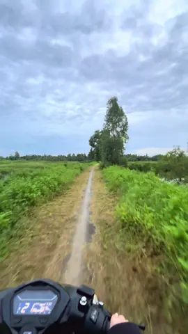 Váy cưới lấp lánh nàng vừa thay😝 Hôm nay đám cưới ai😁❤️ #uoclenxuhuong  #xuhuongtiktok  #fbpethi🥰  #giarai_baclieu_94 