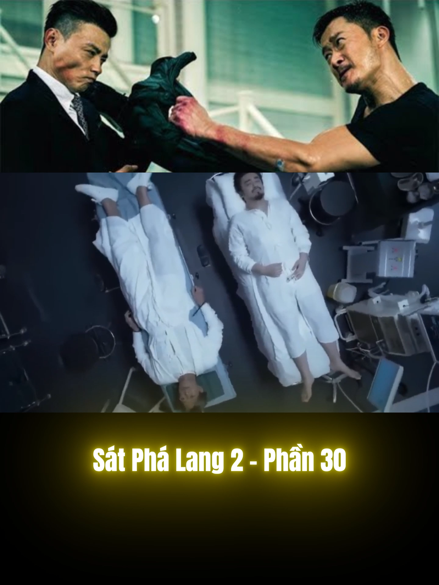 Sát Phá Lang 2 | Phần 30 #phimhay #satphalang2 #ngokinh #phimhanhdonghongkong #phimhongkong #phimhanhdong #cổthiênlạc #fyp