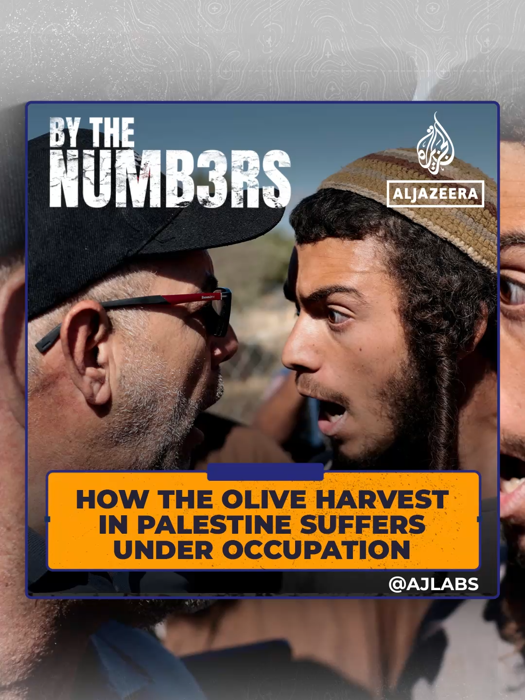 Palestine’s centuries-old olive groves have become a target under Israeli occupation. #ByTheNumbers