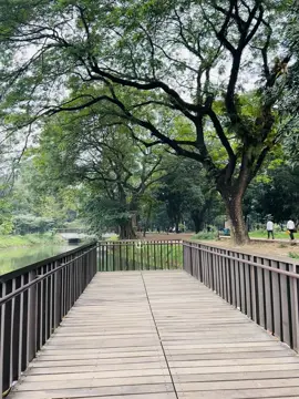 সবুজ রমনাতেও শান্তি পাইনি— কারণ হৃদয়টা এখনও সেই ছলনার দাগ নিয়ে হাঁটে💔💫 #fyp #brokenheart #viralvideo #BrokenLove #BanglaCaption 