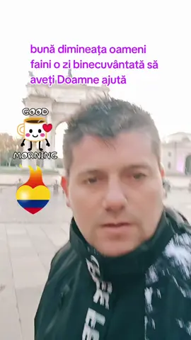 #diaspora #doamneajuta #tiktokromania🇷🇴 #LIVEFest2025 #viral 
