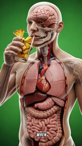 Why pineapple helps (and sometimes irritates) your digestive system #healtheducation  #LearnOnTikTok #medicalanimation  #3DAnatomy #sciencetok 
