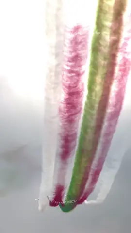 #pakistanairforce #dubaiairshow2025 #jf17 #pakistanzindabad🇵🇰🇵🇰🇵🇰🇵🇰 #skywarrior12 