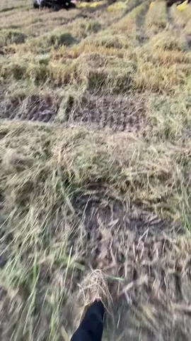 mới 2h hết đất rồi #kubotadc105xcabin #dinhsontrung #kubotaDc105x #kubotadc105xcabin 