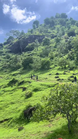 Sabana bukit Cumbri ..#bukitcumbri #bukitcumbriwonogiri #pendakigunung #fyp #wonogiri24jam 