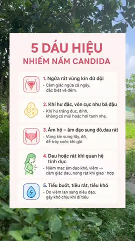 5 dấu hiệu nấm candida #nâmcadida #viêmlotuyen #BuồngTrứngYếu #vosinhhiemmuon #phamhausanphukhoa 
