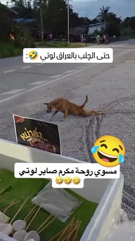 ههههههههههههههه 🤭#CapCut #الشعب_الصيني_ماله_حل😂😂 #ترندات_تيك_توك #ترندات_تيك_توك #ضباط_العراق_قادة_العراق_اسود_العراق 