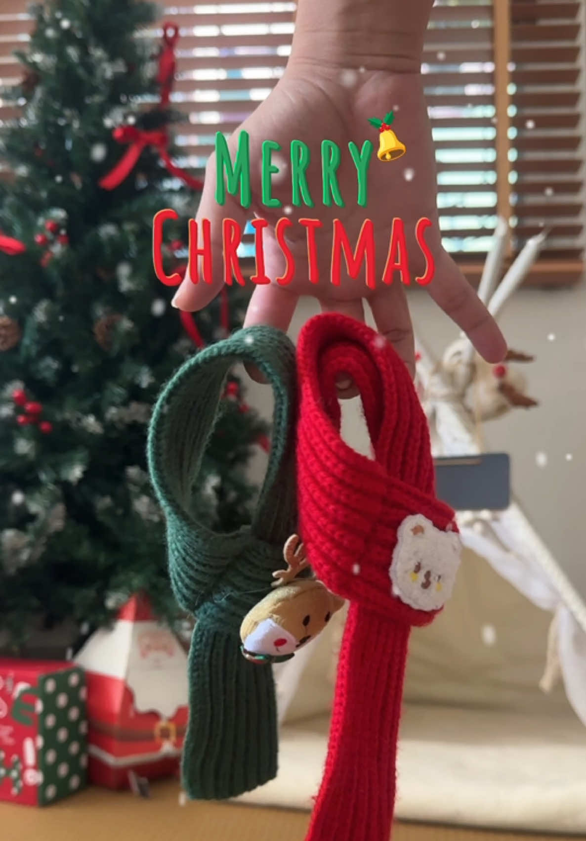 @อลิซาเบธซึ 🐶 ลมหนาวมาแล้ววว ##คริสมาสต์ #เสื้อผ้าหมาแมว #ชุดน้องหมา #เสื้อผ้าหมาแมว #หมา 